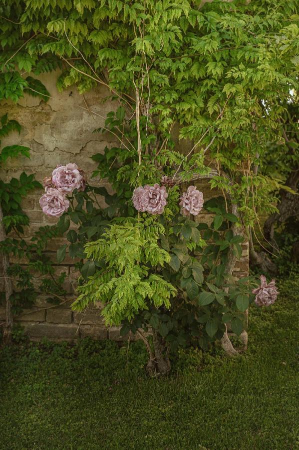 Villa Corallo Sant'Omero Extérieur photo